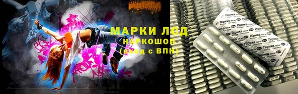 индика Верея